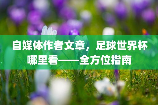 自媒体作者文章，足球世界杯哪里看——全方位指南
