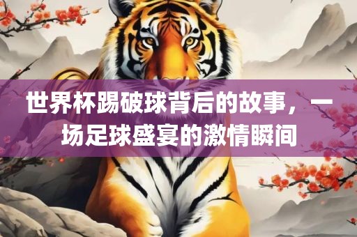 世界杯踢破球背后的故事，一场足球盛宴的激情瞬间