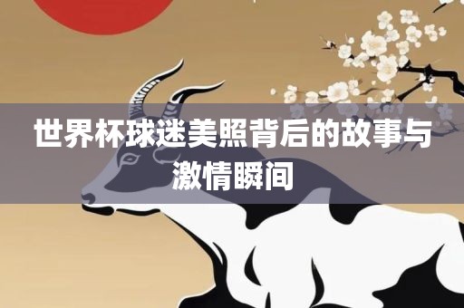 世界杯球迷美照背后的故事与激情瞬间