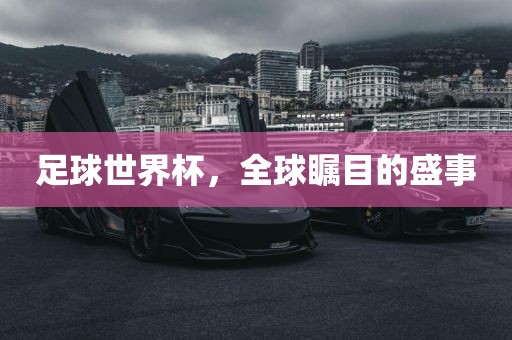 足球世界杯，全球瞩目的盛事