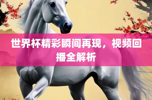 世界杯精彩瞬间再现，视频回播全解析