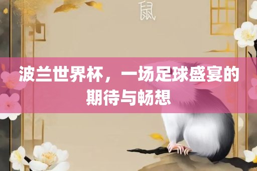 波兰世界杯，一场足球盛宴的期待与畅想