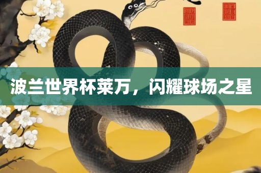 波兰世界杯莱万，闪耀球场之星