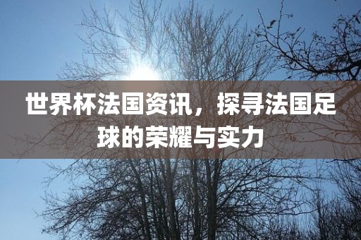 世界杯法国资讯，探寻法国足球的荣耀与实力