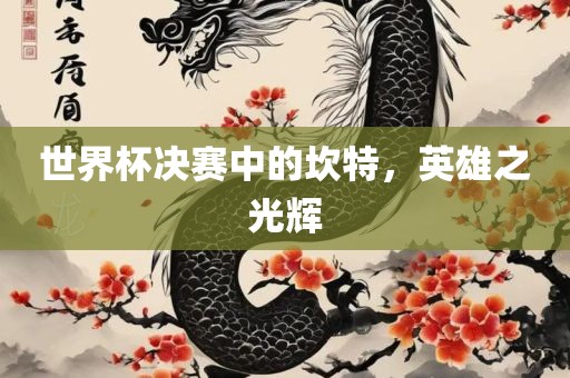 世界杯决赛中的坎特，英雄之光辉