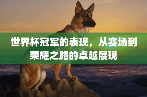 世界杯冠军的表现，从赛场到荣耀之路的卓越展现