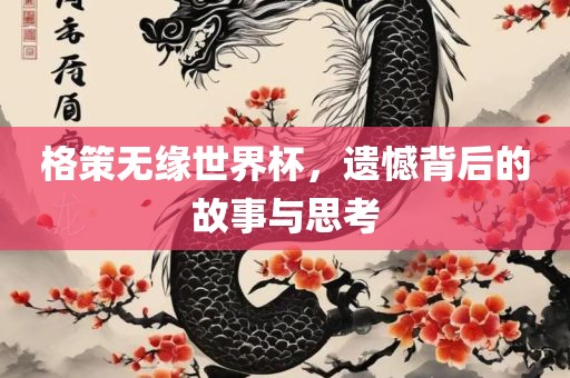 格策无缘世界杯，遗憾背后的故事与思考