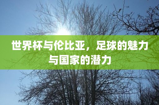 世界杯与伦比亚，足球的魅力与国家的潜力