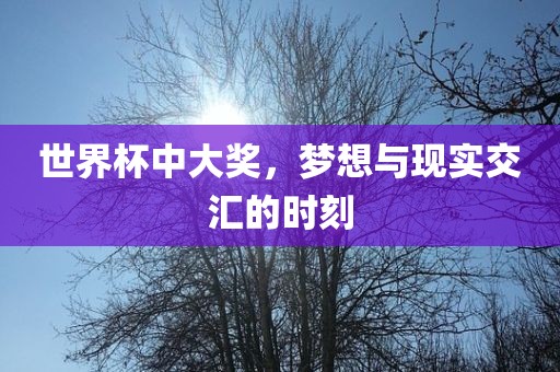 世界杯中大奖，梦想与现实交汇的时刻眉山市正发家政服务有限公司