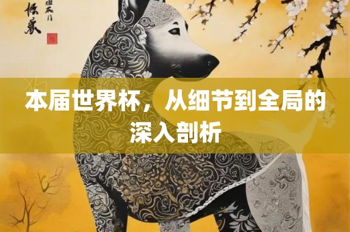 本届世界杯，从细节到全局的深入剖析眉山市正发家政服务有限公司