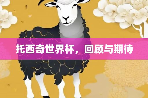 托西奇世界杯，回顾与期待