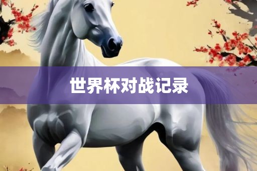 世界眉山市正发家政服务有限公司杯对战记录
