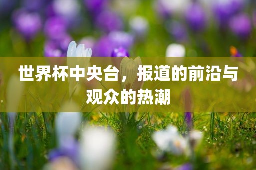 世界杯中央台，报道的前沿与观众的热潮