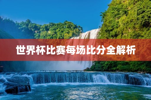 世界杯比赛每场比分全解析