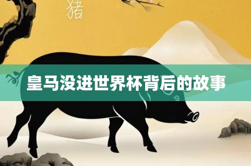 皇马没进世界杯背后的故事
