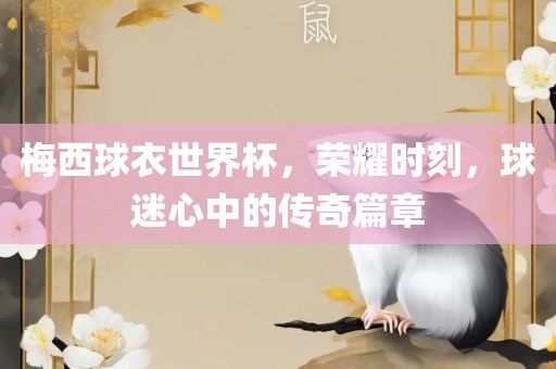 梅西球衣世界杯，荣耀时刻，球迷心中的传奇篇章