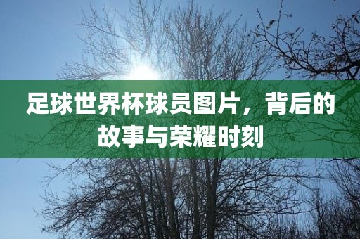 足球世界杯球员图片，背后的故事与荣耀时刻