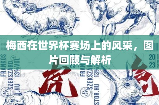 梅西在世界杯赛场上的风采，图片回顾与解析