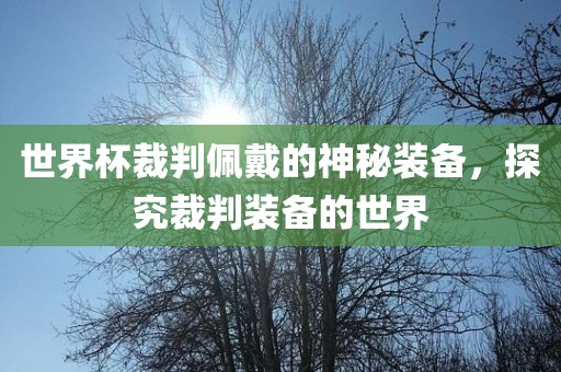 世界杯裁判佩戴的神秘装备，探究裁判装备的世界