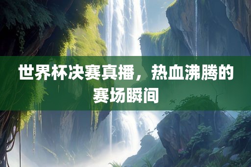 世界杯决赛真播，热血沸腾的赛场瞬间
