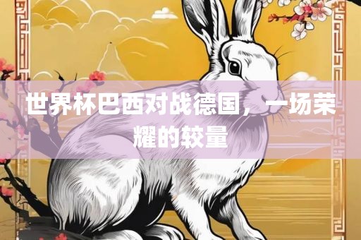 世界杯巴西对战德国，一场荣耀眉山市正发家政服务有限公司的较量