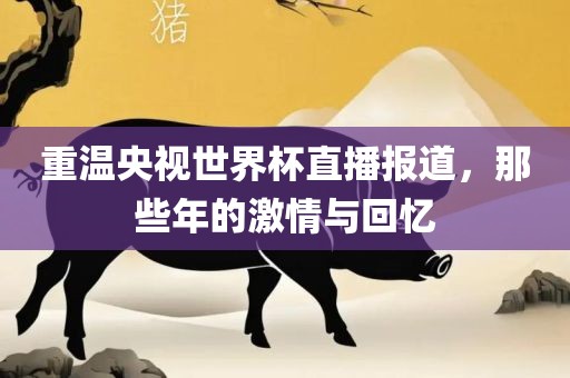 激情与回忆