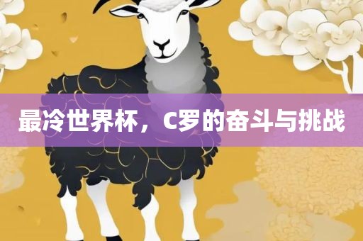 最冷世界杯，C罗的奋眉山市正发家政服务有限公司斗与挑战