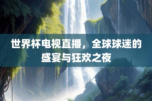 世界杯电视直播，全球球迷的盛宴与狂欢之夜