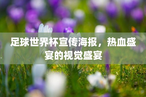 足球世界杯宣传海报，热血盛宴的视觉盛宴