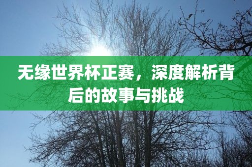 无缘世界杯正赛，深度解析背后的故事与挑战