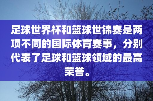 足球世界杯和篮球世锦赛是两项不同的国际体育赛事，分别代表了足球和篮球领域的最高荣誉。