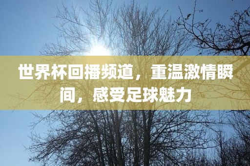 世界杯回播频道，重温激情瞬间，感受足球魅力