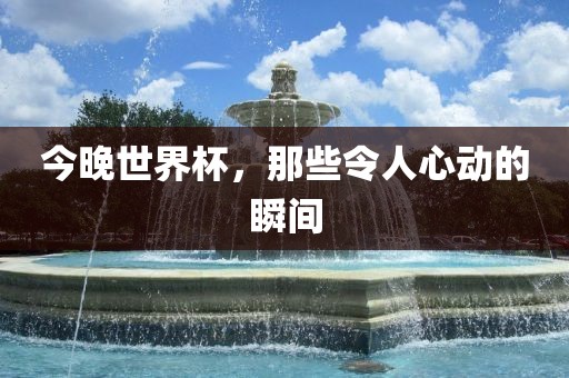 今晚世界杯，那些令人心动的瞬间眉山市正发家政服务有限公司