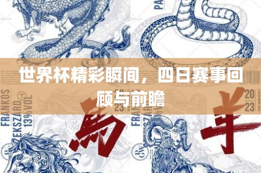 世界杯精彩瞬间，四日赛事回顾与前瞻眉山市正发家政服务有限公司