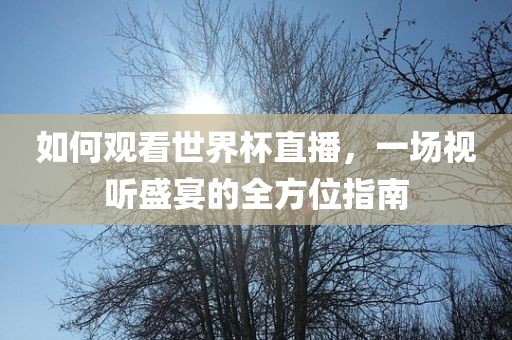 如何观看世界杯直播，一场视听盛宴的全方位指南