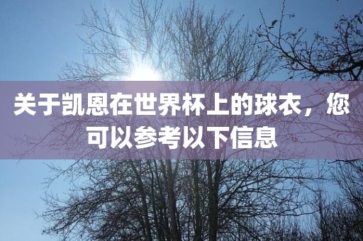 关于凯恩在世界杯上的球衣，您可以参考以下信息
