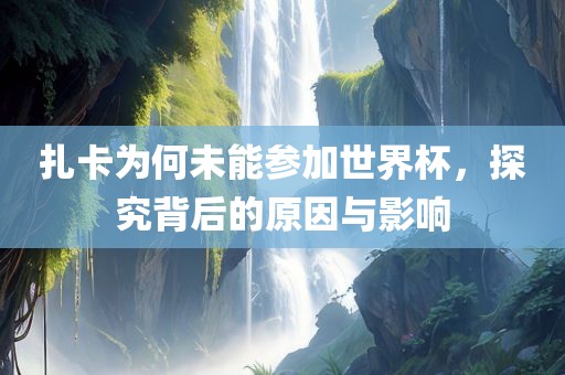 扎卡为何未能参加世界杯，探究背后的原因与影响