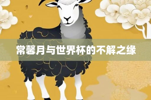 世界杯之缘