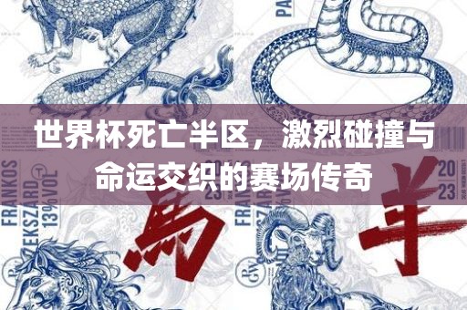 世界杯死亡半区，激烈碰撞与命运交织的赛场传奇