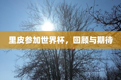 里皮参加世界杯，回顾与期待