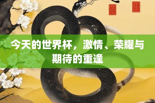 今天的世界杯，激情、荣耀与期待的重逢