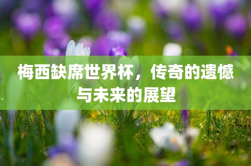 梅西缺席世界杯，传奇的遗憾与未来的展望