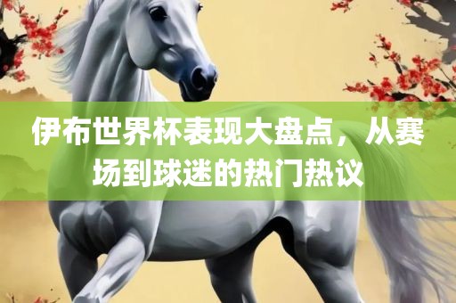 伊布世界杯表现大盘点，从赛场到球迷的热门热议