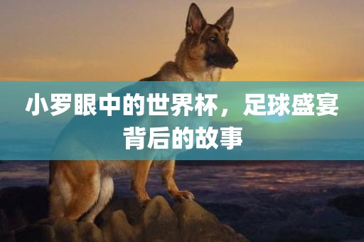 小罗眼中的世界杯，足球盛宴背后的故事