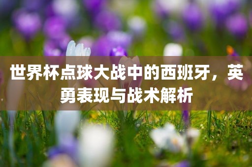世界杯点球大战中的西班牙，英勇表现与战术解析
