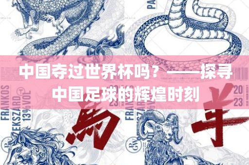 中国夺过世界杯吗？——探寻中国足球的辉煌时刻