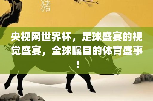 央视网世界杯，足球盛宴的视觉盛宴，全球瞩目的体育盛事！