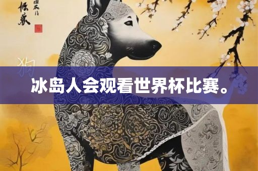 冰岛人会观看世界杯比赛。