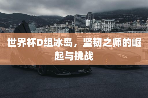 世界杯D组冰岛，坚韧之师的崛起与挑战