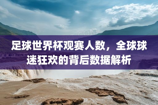 足球世界杯观赛人数，全球球迷狂欢的背后数据解析